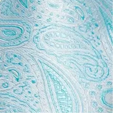 Blue Aqua Barry Wang Necktie Sets