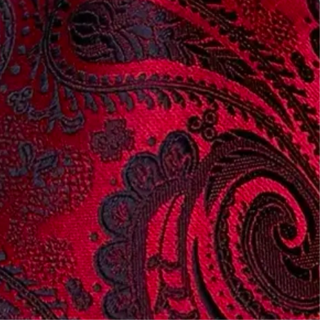Red Black Bold Paisley Necktie Set