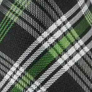 Green Plaid Necktie Set