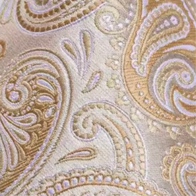 Gold Champagne Paisley Necktie Set