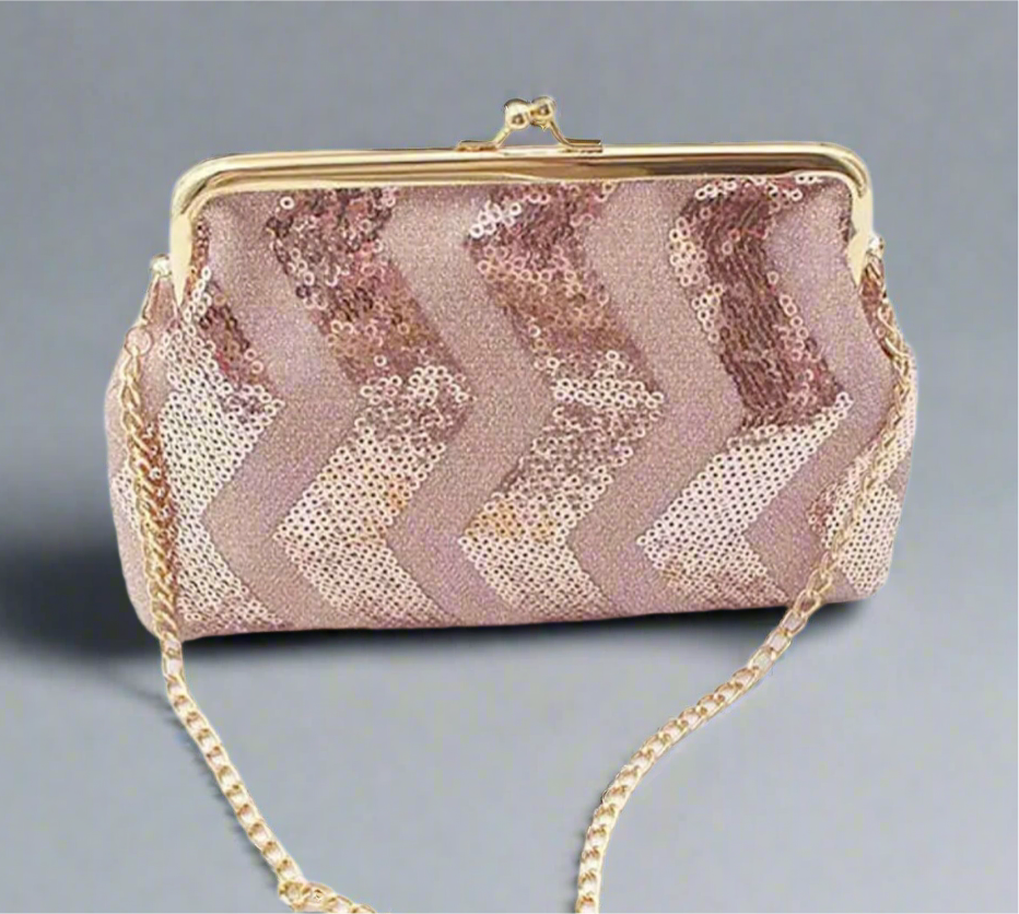 Sequin Coin Purse Evening Bag
