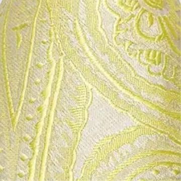 Yellow Barry Wang Necktie Sets