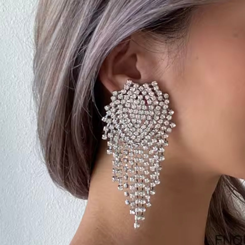 Exaggerated Tassel Earrings