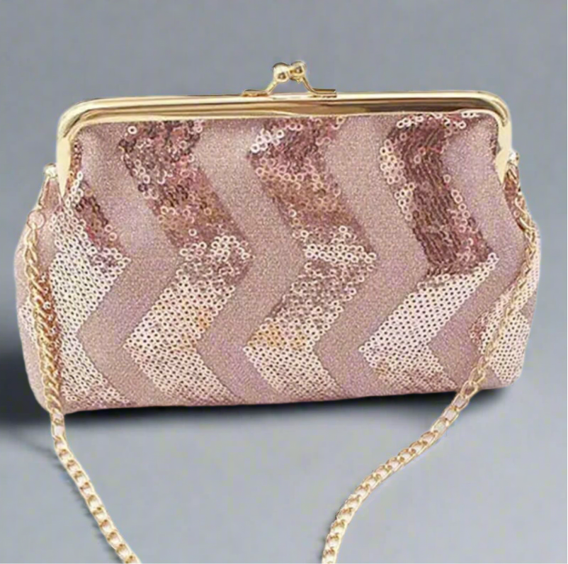 Sequin Coin Purse Evening Bag
