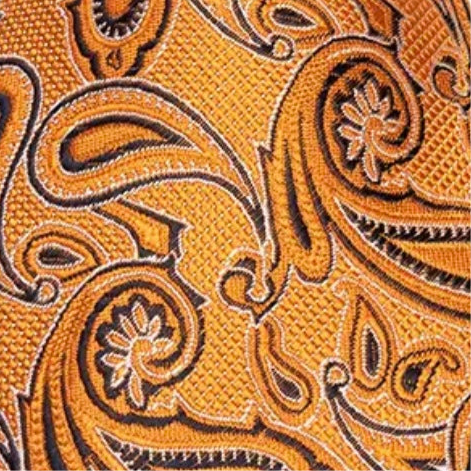 Orange Black Paisley Necktie Set