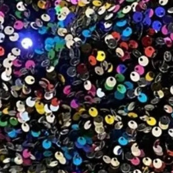 Multicolor Sequin Bag