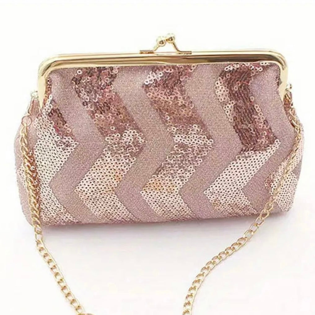 Sequin Coin Purse Evening Bag