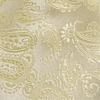 Yellow Barry Wang Necktie Sets