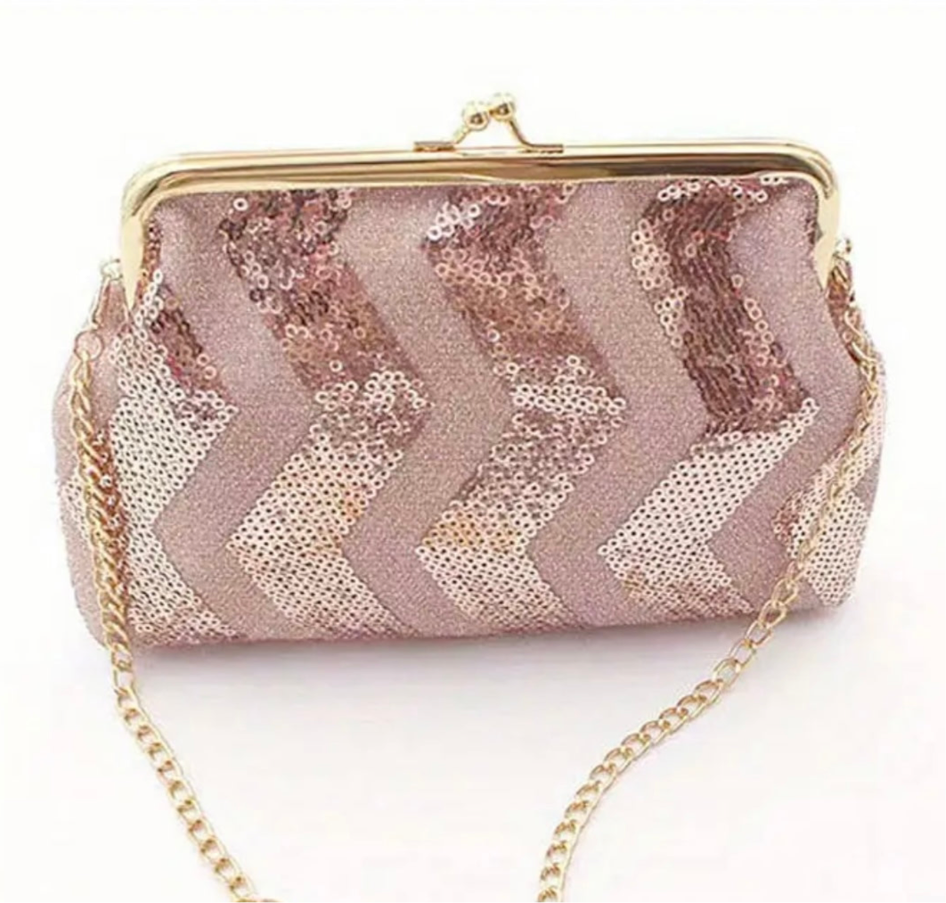 Sequin Coin Purse Evening Bag