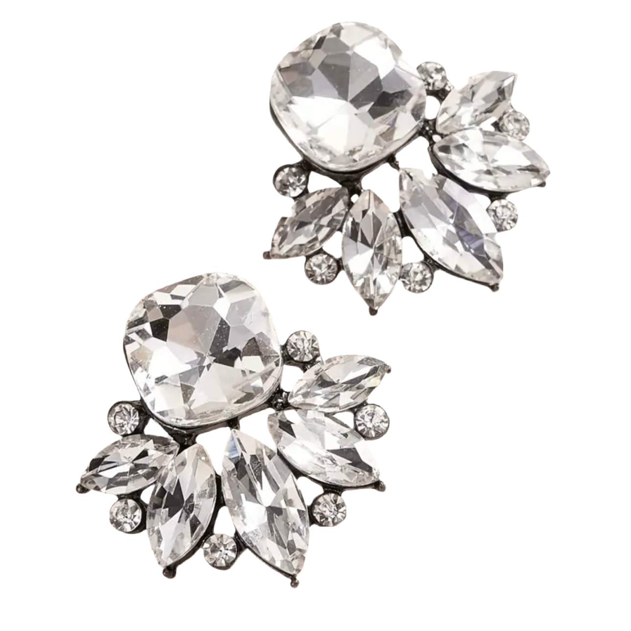 Sparkling Clear/Black Earrings