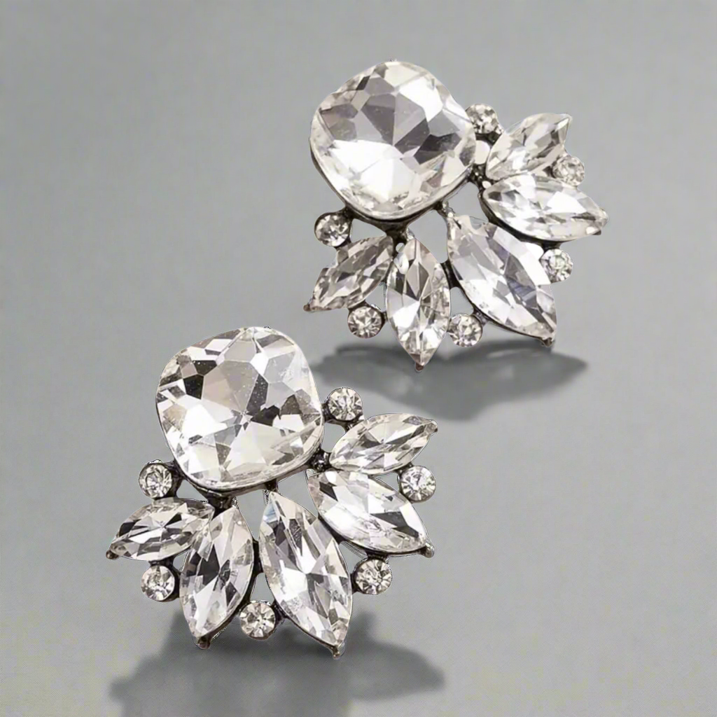 Sparkling Clear/Black Earrings