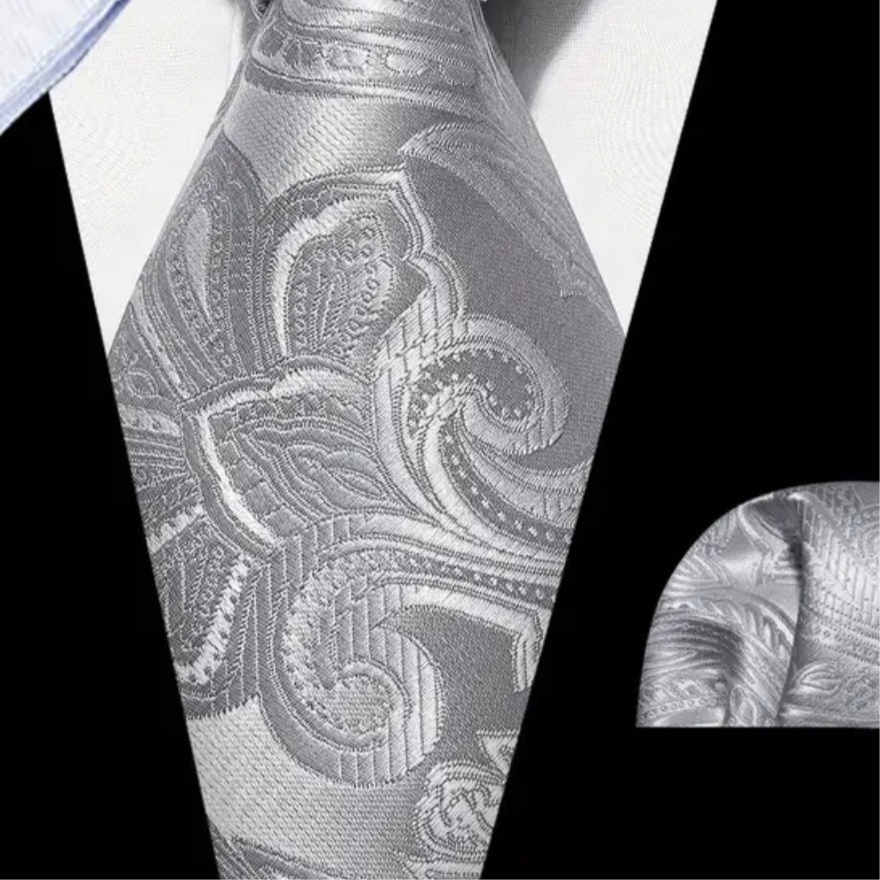 Grey Silvery Necktie Set